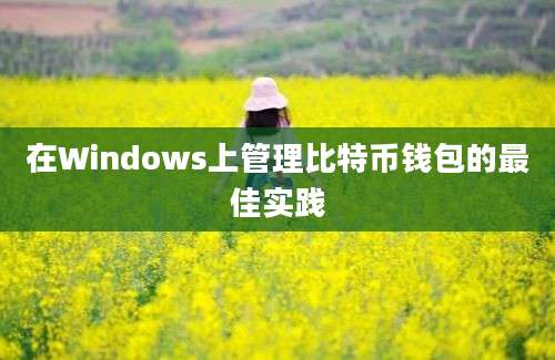 在Windows上管理比特币钱包的最佳实践