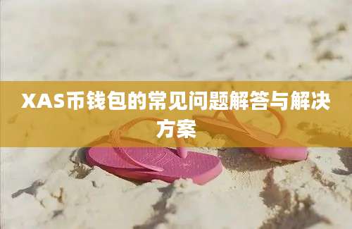 XAS币钱包的常见问题解答与解决方案