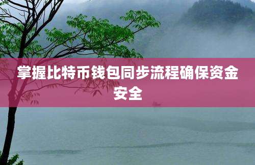 掌握比特币钱包同步流程确保资金安全