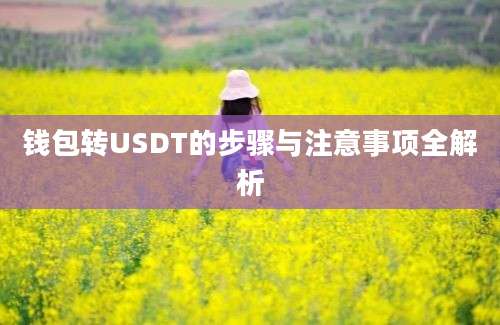 钱包转USDT的步骤与注意事项全解析