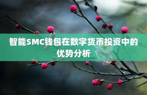 智能SMC钱包在数字货币投资中的优势分析