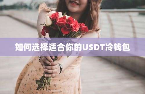 如何选择适合你的USDT冷钱包