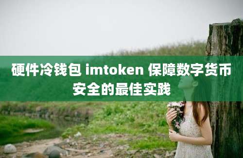 硬件冷钱包 imtoken 保障数字货币安全的最佳实践