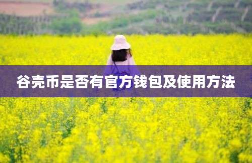 谷壳币是否有官方钱包及使用方法