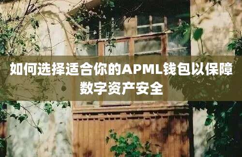 如何选择适合你的APML钱包以保障数字资产安全