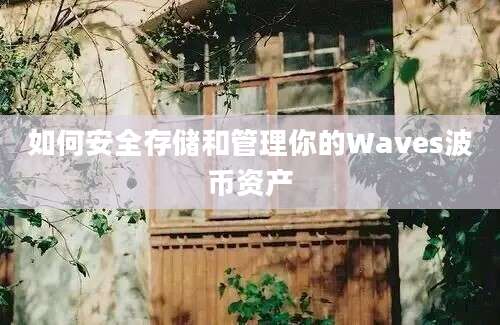 如何安全存储和管理你的Waves波币资产