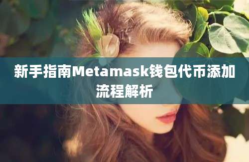 新手指南Metamask钱包代币添加流程解析