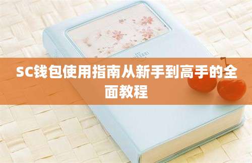 SC钱包使用指南从新手到高手的全面教程