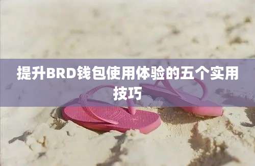 提升BRD钱包使用体验的五个实用技巧