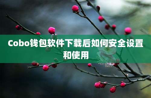 Cobo钱包软件下载后如何安全设置和使用