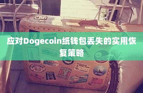 应对Dogecoin纸钱包丢失的实用恢复策略