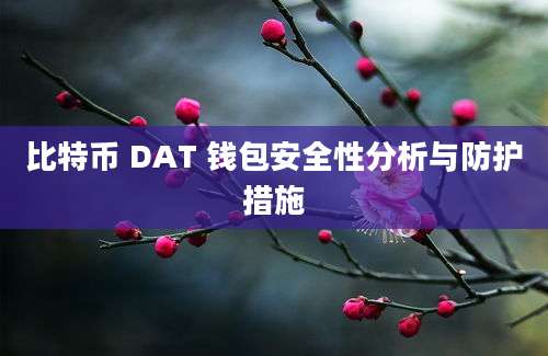 比特币 DAT 钱包安全性分析与防护措施