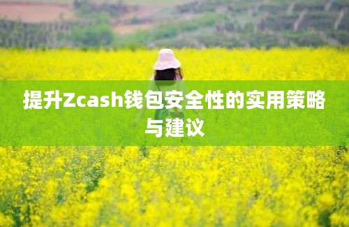 提升Zcash钱包安全性的实用策略与建议