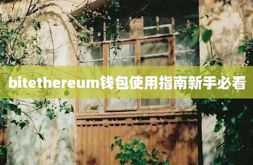 bitethereum钱包使用指南新手必看