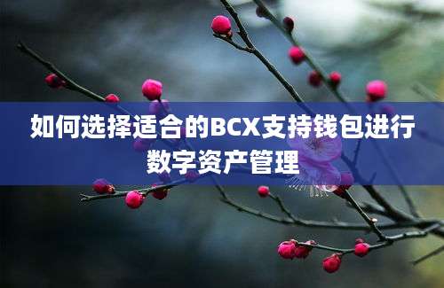 如何选择适合的BCX支持钱包进行数字资产管理