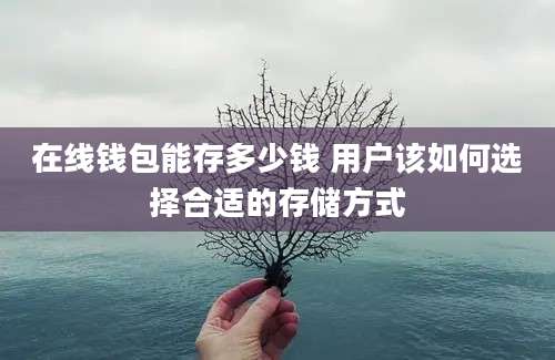 在线钱包能存多少钱 用户该如何选择合适的存储方式