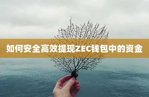 如何安全高效提现ZEC钱包中的资金