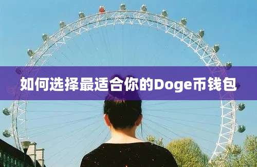 如何选择最适合你的Doge币钱包