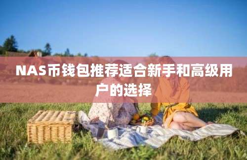 NAS币钱包推荐适合新手和高级用户的选择