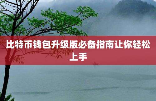 比特币钱包升级版必备指南让你轻松上手