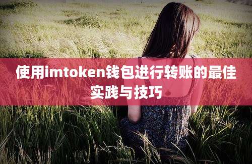 使用imtoken钱包进行转账的最佳实践与技巧