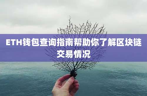 ETH钱包查询指南帮助你了解区块链交易情况