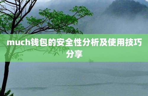 much钱包的安全性分析及使用技巧分享