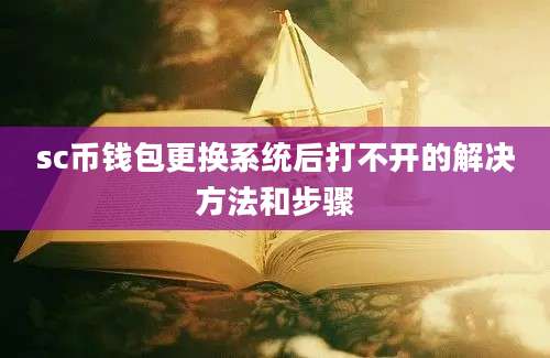 sc币钱包更换系统后打不开的解决方法和步骤