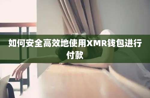 如何安全高效地使用XMR钱包进行付款