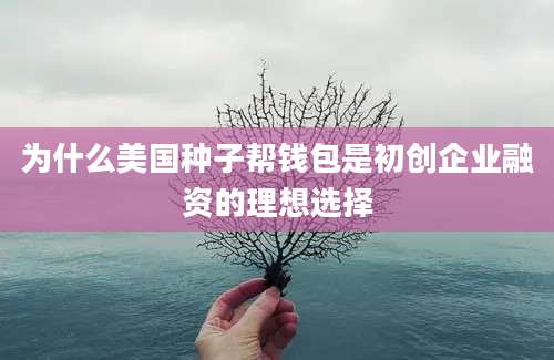 为什么美国种子帮钱包是初创企业融资的理想选择