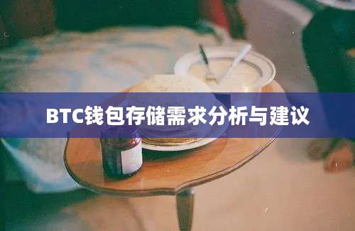 BTC钱包存储需求分析与建议