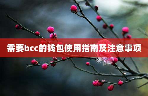 需要bcc的钱包使用指南及注意事项