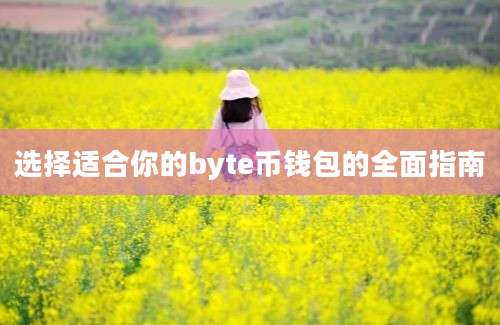 选择适合你的byte币钱包的全面指南