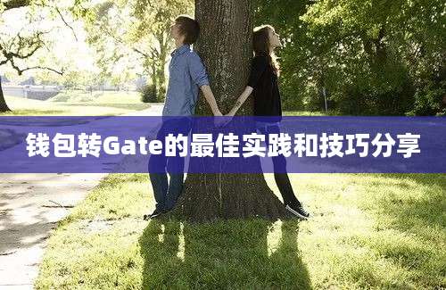 钱包转Gate的最佳实践和技巧分享