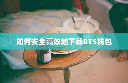 如何安全高效地下载BTS钱包