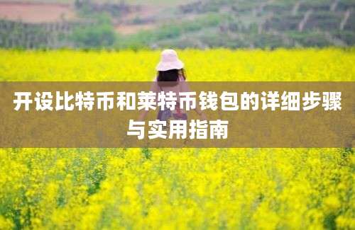 开设比特币和莱特币钱包的详细步骤与实用指南