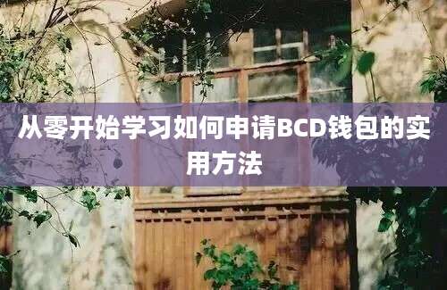 从零开始学习如何申请BCD钱包的实用方法