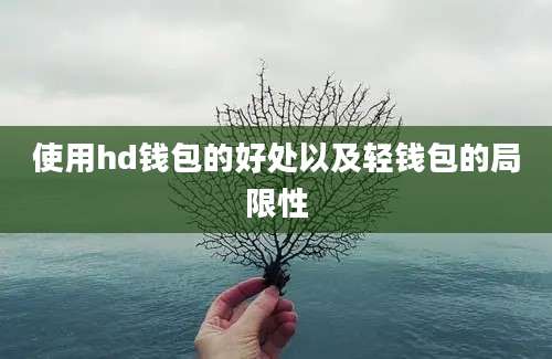 使用hd钱包的好处以及轻钱包的局限性