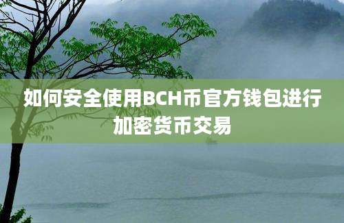 如何安全使用BCH币官方钱包进行加密货币交易