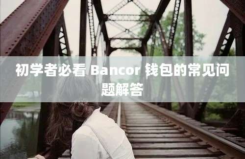 初学者必看 Bancor 钱包的常见问题解答