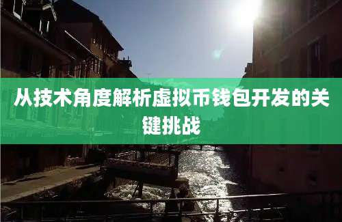 从技术角度解析虚拟币钱包开发的关键挑战