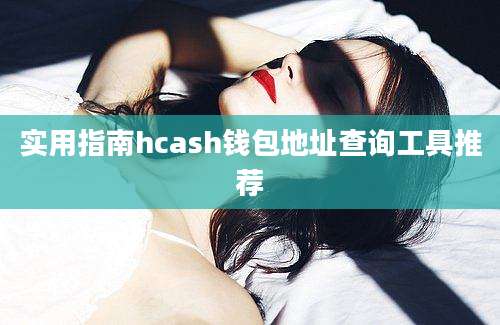 实用指南hcash钱包地址查询工具推荐