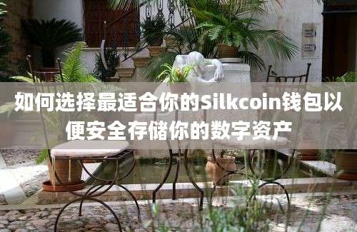 如何选择最适合你的Silkcoin钱包以便安全存储你的数字资产