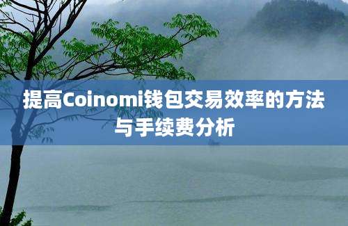 提高Coinomi钱包交易效率的方法与手续费分析