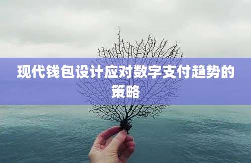 现代钱包设计应对数字支付趋势的策略