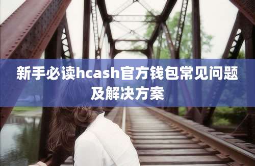 新手必读hcash官方钱包常见问题及解决方案