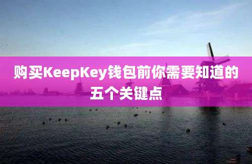 购买KeepKey钱包前你需要知道的五个关键点