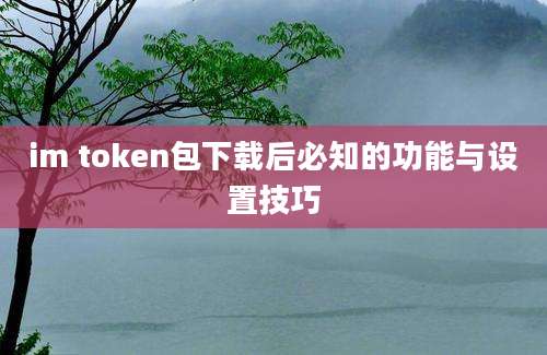 im token包下载后必知的功能与设置技巧