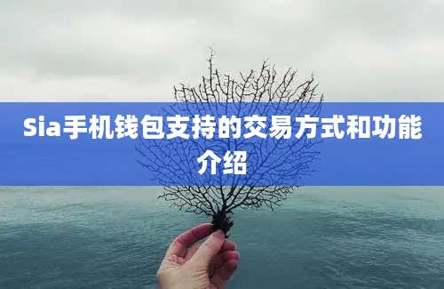 Sia手机钱包支持的交易方式和功能介绍