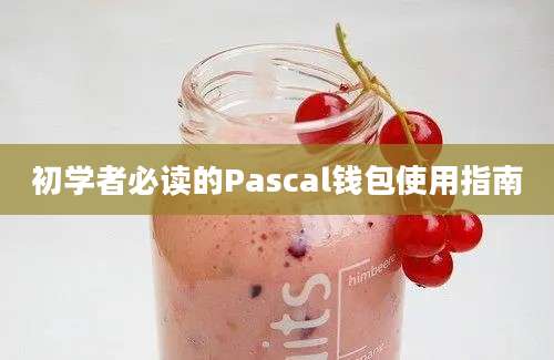 初学者必读的Pascal钱包使用指南